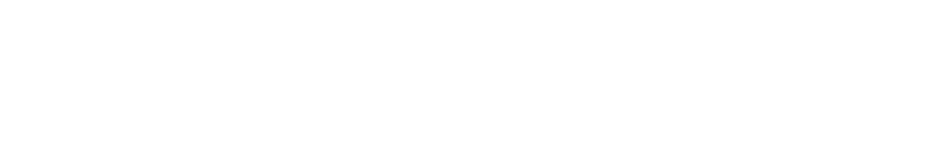 Vision Lifestyle Centers Logo